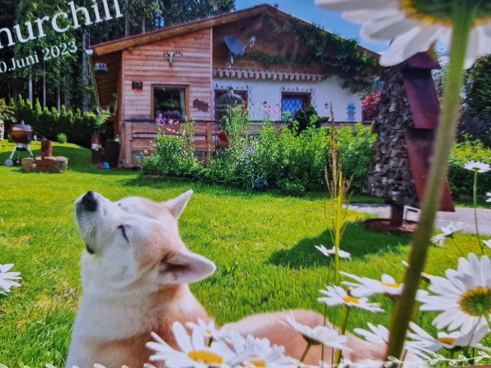 Knusperhaeuschen Maria Nikoletta Vila Witra Exterior foto